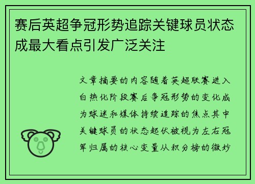 赛后英超争冠形势追踪关键球员状态成最大看点引发广泛关注 赛后英超争冠形势追踪关键球员状态成最大看点引发广泛关注