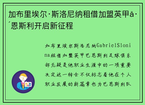加布里埃尔·斯洛尼纳租借加盟英甲巴恩斯利开启新征程 加布里埃尔·斯洛尼纳租借加盟英甲巴恩斯利开启新征程